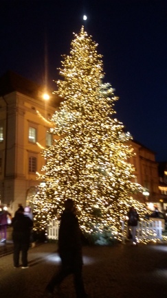Weihnachtsbaum in Offenburg